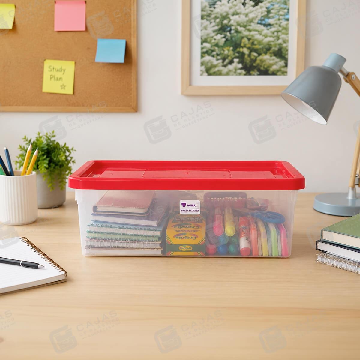 CONTENEDOR-PLASTICO-MULTIBOX-DE-5-LITROS-Mexico-Queretaro-00