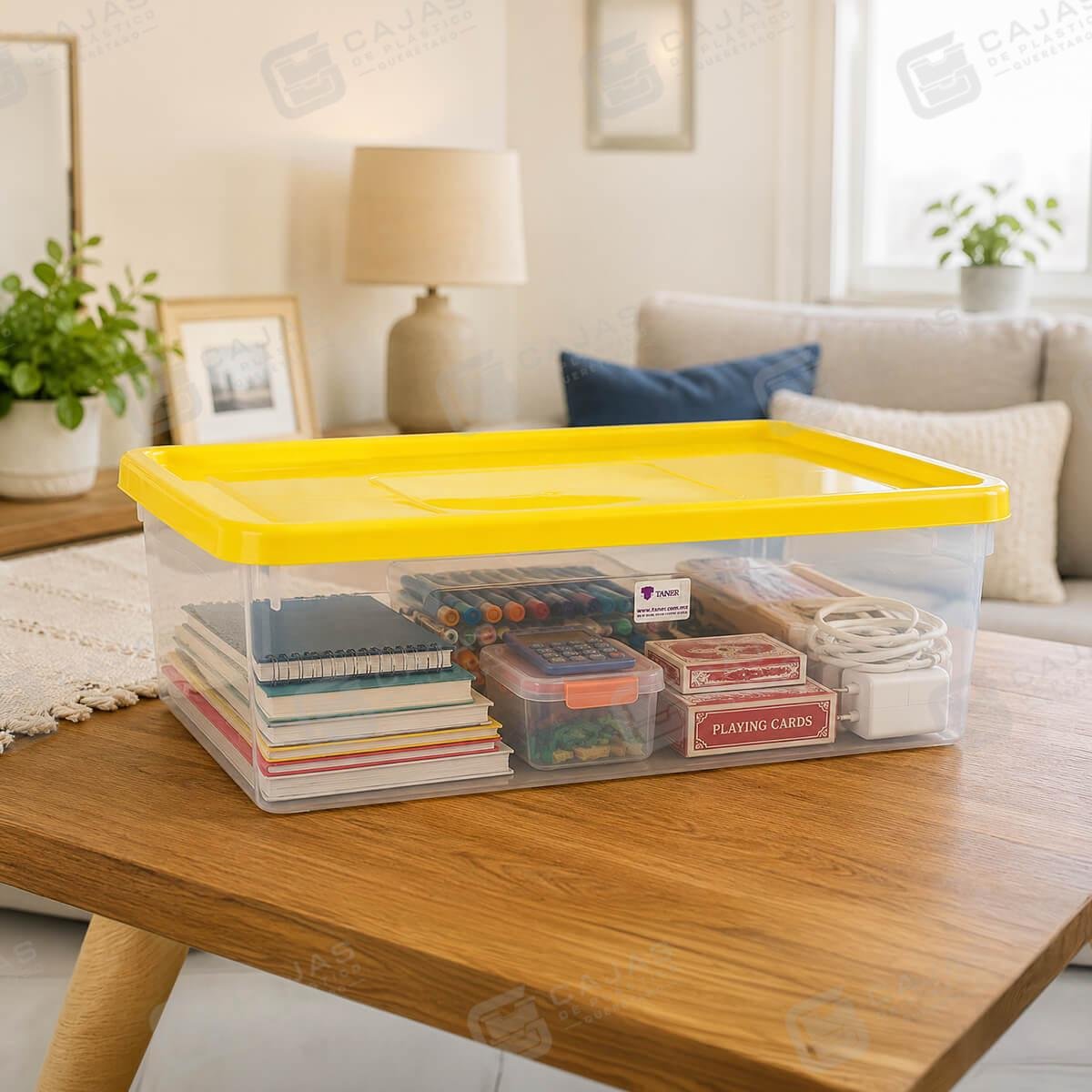 CONTENEDOR-PLASTICO-MULTIBOX-DE-8-LITROS-Mexico-Queretaro-00