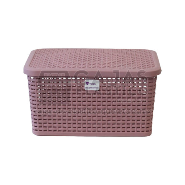 Caja Plastica Rattan Con Tapa - Queretaro Mexico