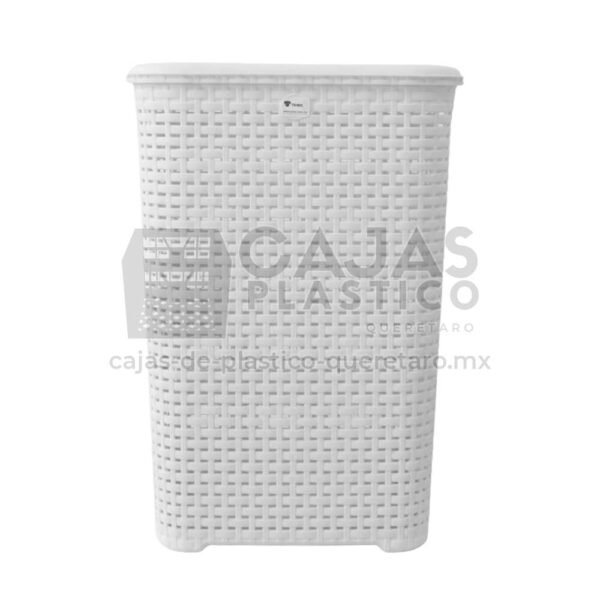 Cesto Rattan Con Tapa